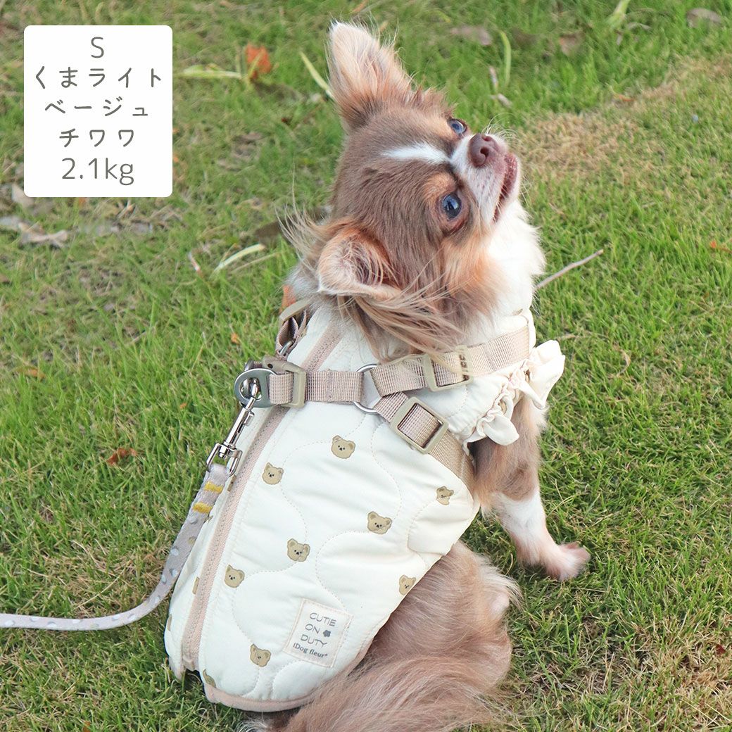 チワワ2.1kg(首19.5/胴30.5/丈22cm)の玉青ちゃんはくまライトベージュのSを着用