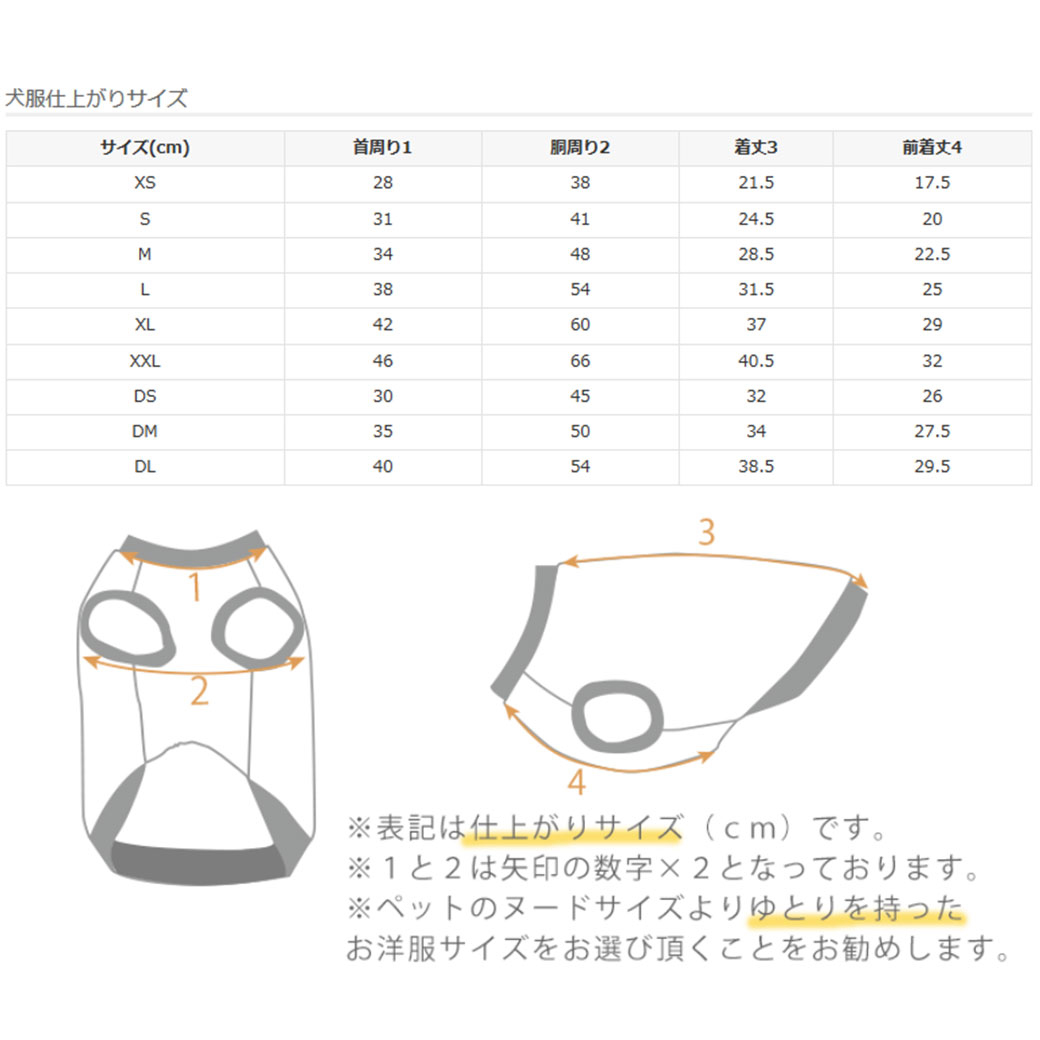 サイズ表