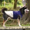 柴犬8.8kg(首34/胴50/丈38cm)の凪ちゃんはネイビー×グレージュのXXLを着用