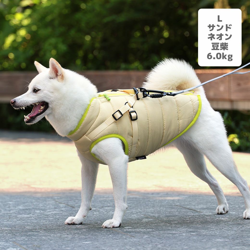 豆柴6.0kg(首31/胴45/丈33cm)のラテちゃんはサンドネオンのLを着用