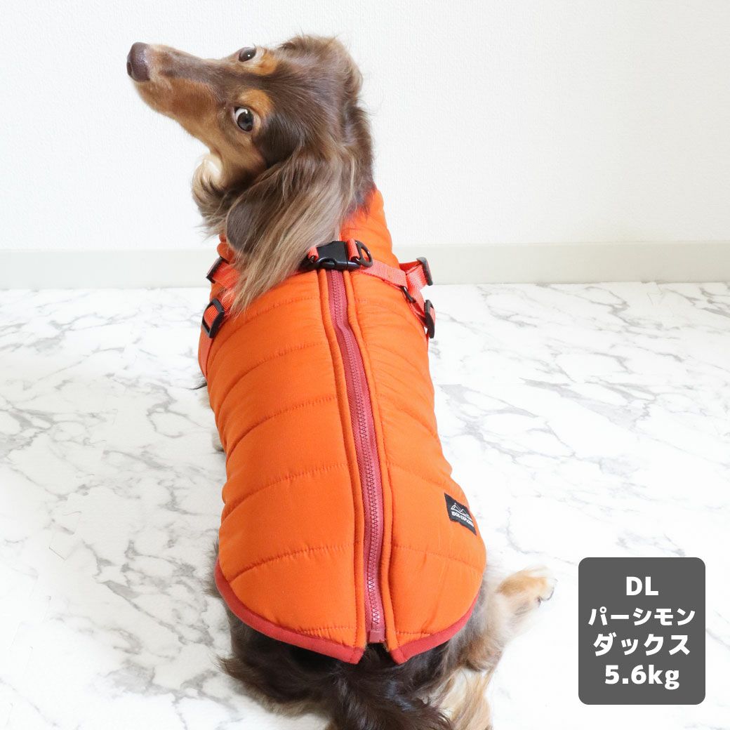 カニヘンダックス5.6kg(首35/胴43/丈37cm)のハクくんはパーシモンのDLを着用