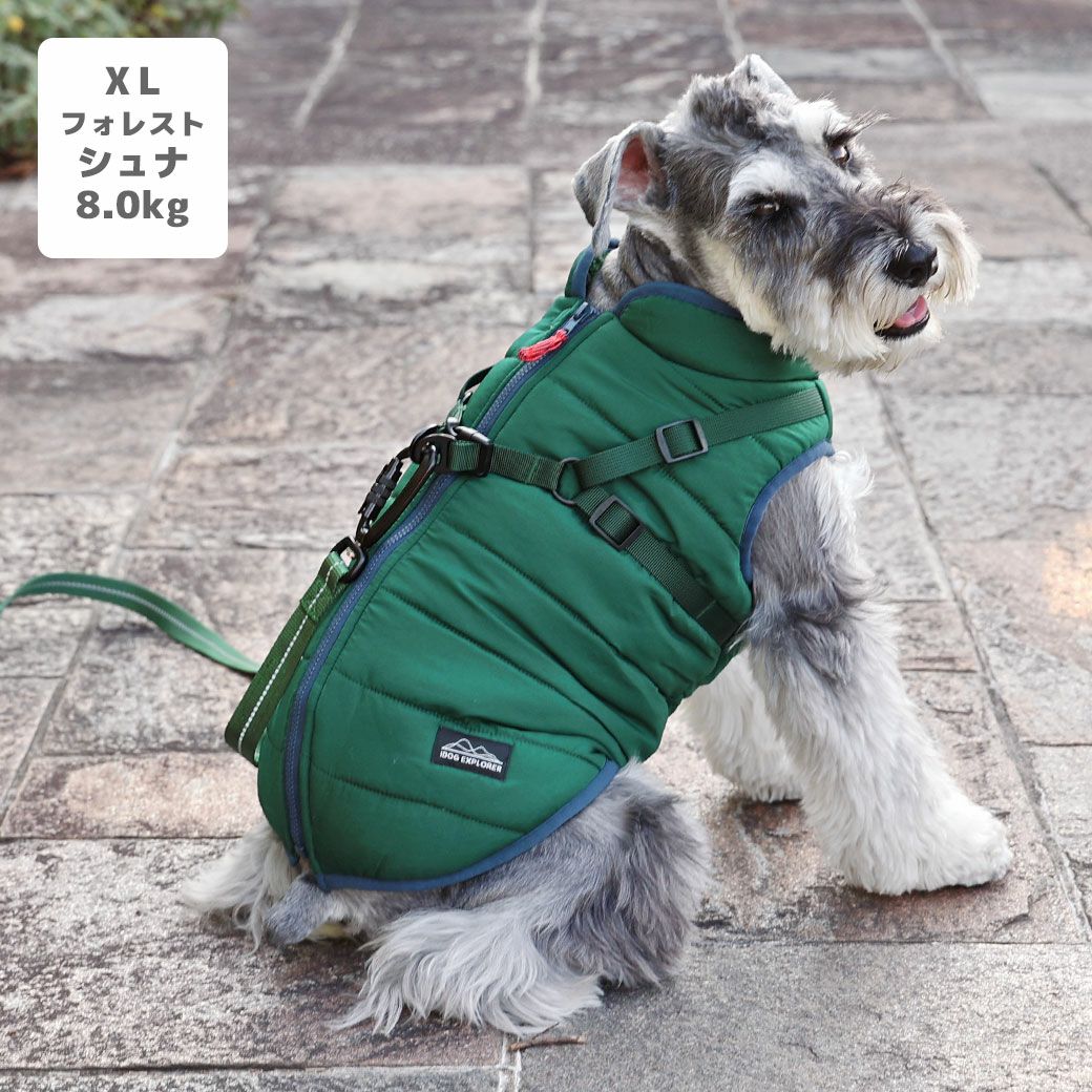 ミニチュアシュナウザー8.0kg(首30/胴48/丈37cm)のマハロくんはフォレストのXLを着用