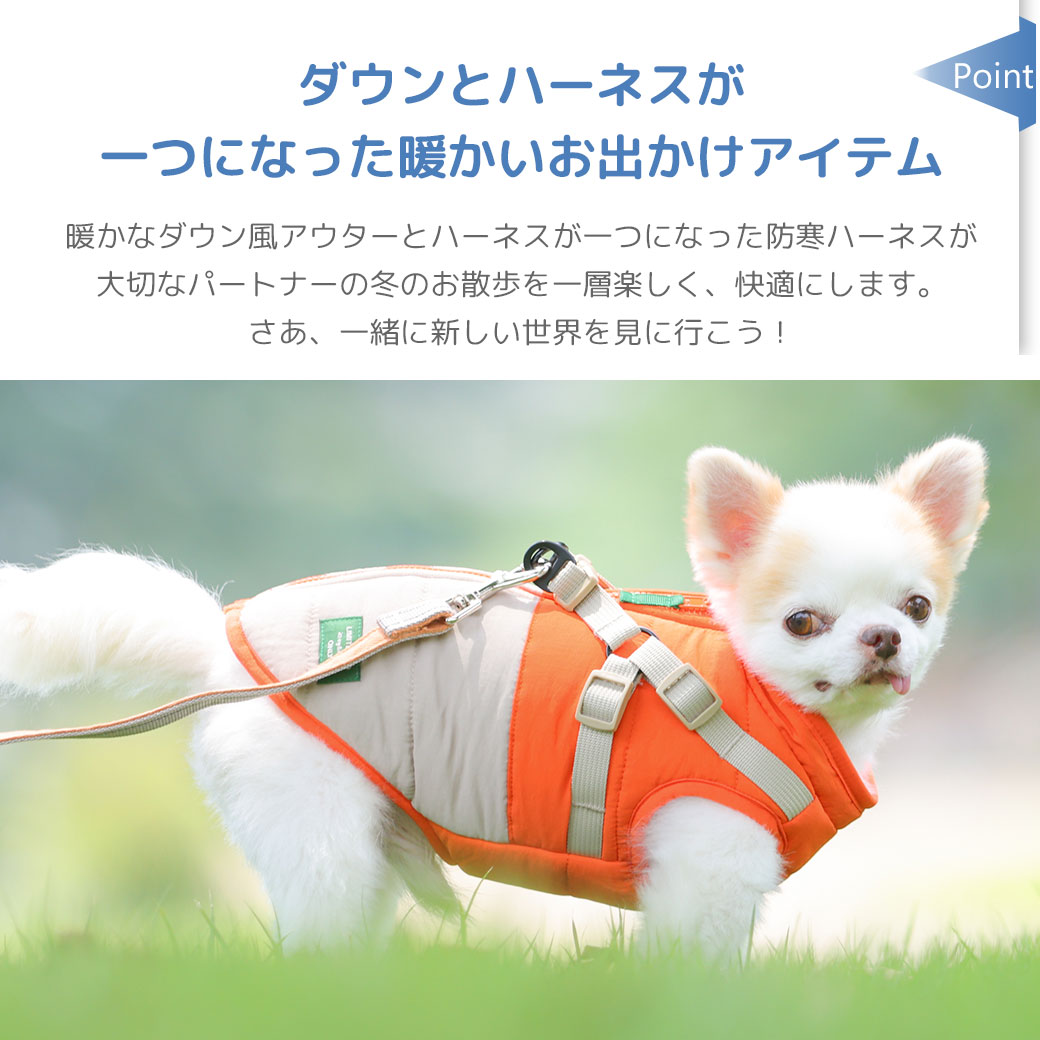 ミニチュアシュナウザー8.0kg(首30/胴48/丈37cm)のマハロくんはフォレストのXLを着用