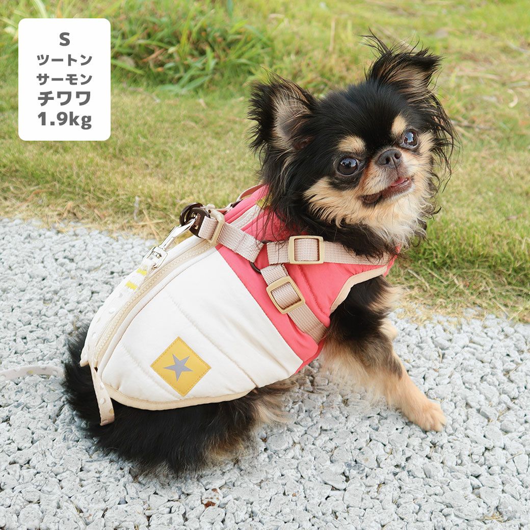 チワワ1.9kg(首19/胴29.5/丈21.5cm)のウメちゃんはツートンサーモンのSを着用