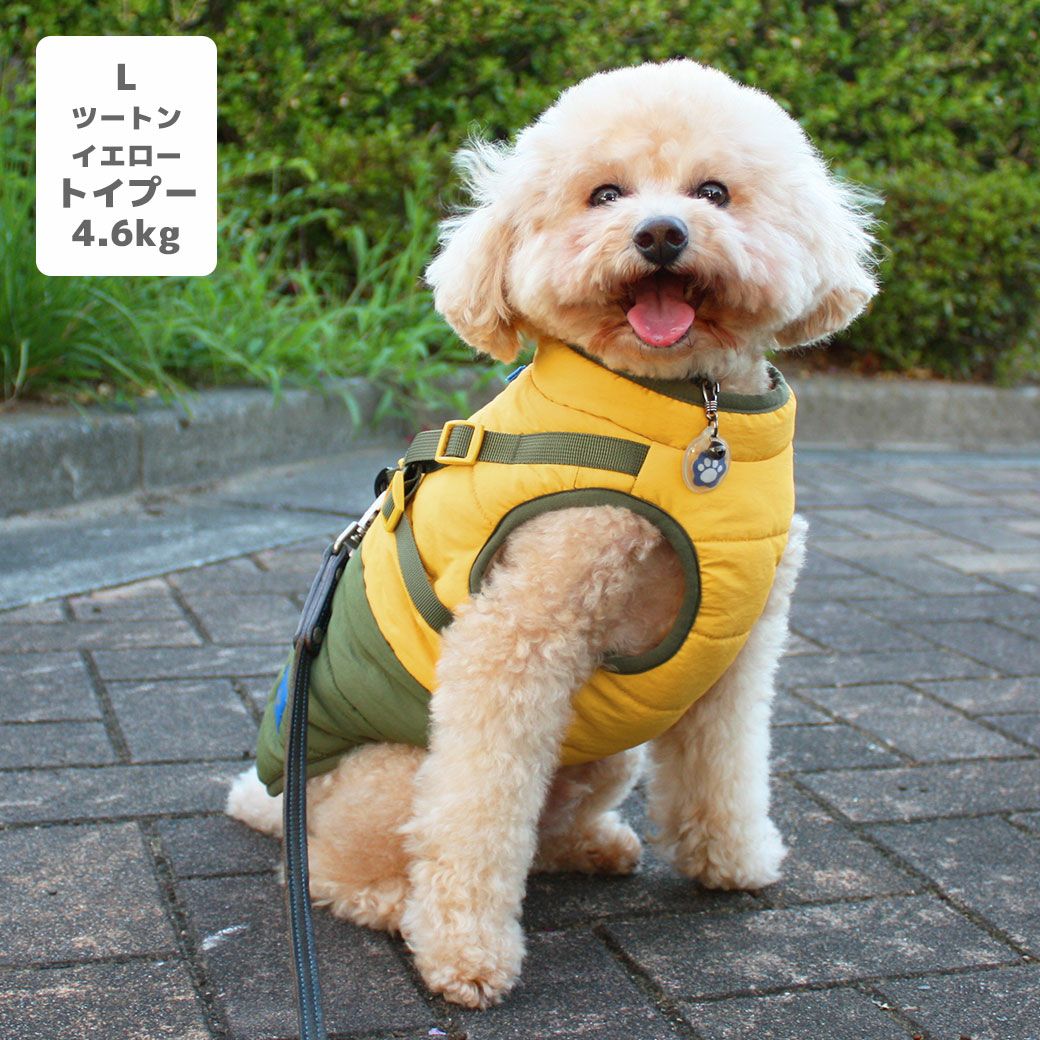 トイプー4.6kg(首25/胴40/丈34cm)のフク丸くんはツートンイエローのLを着用