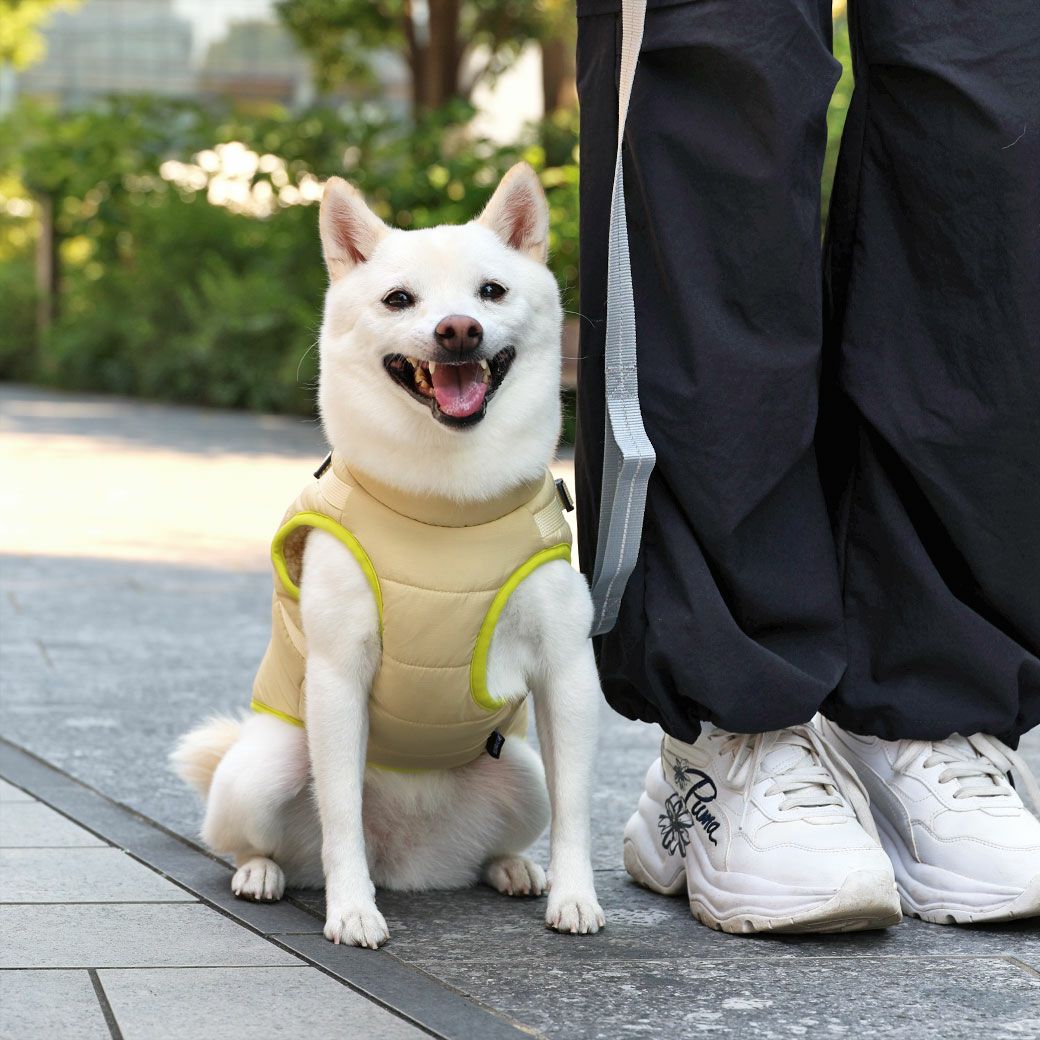 ダウンとハーネスが一つになった暖かいお出かけアイテム