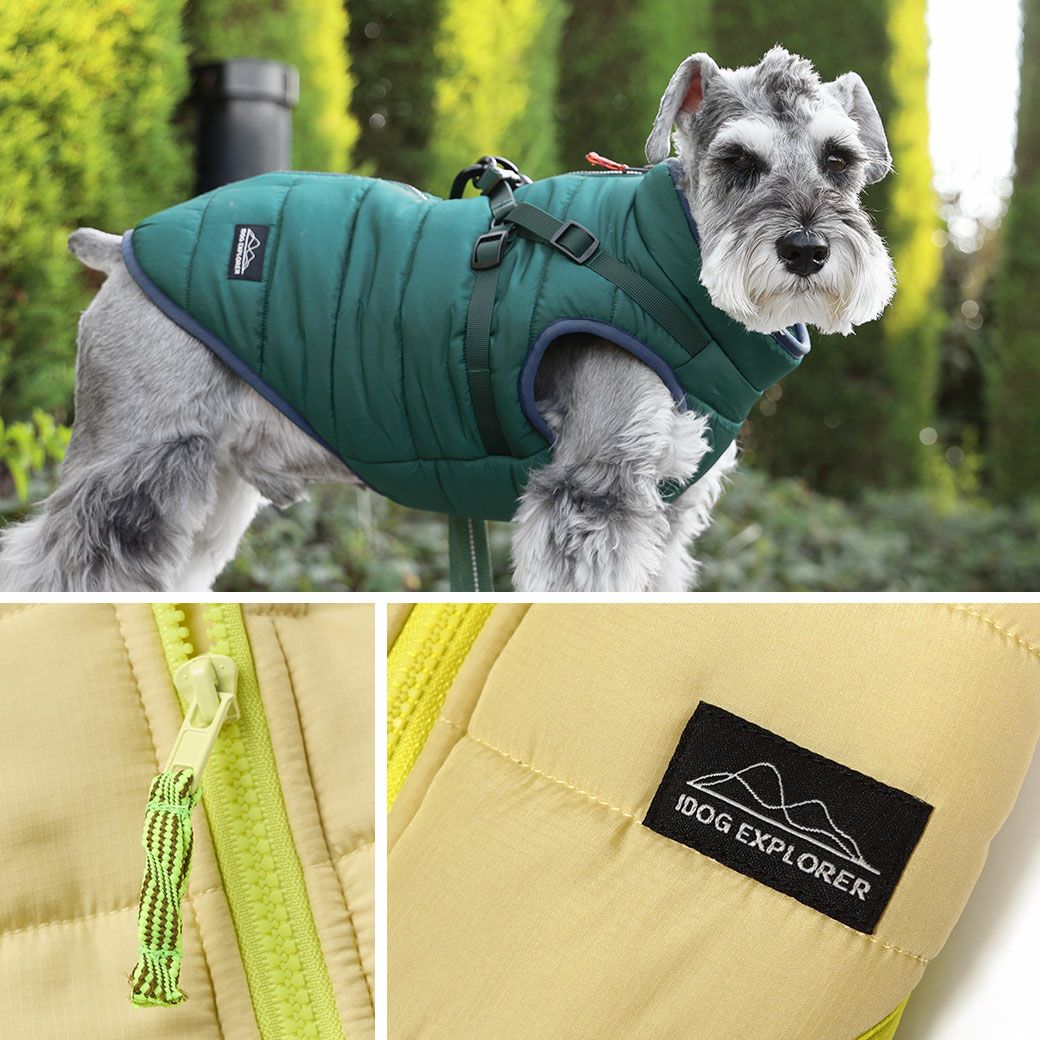 サンドネオン/パーシモン/フォレスト