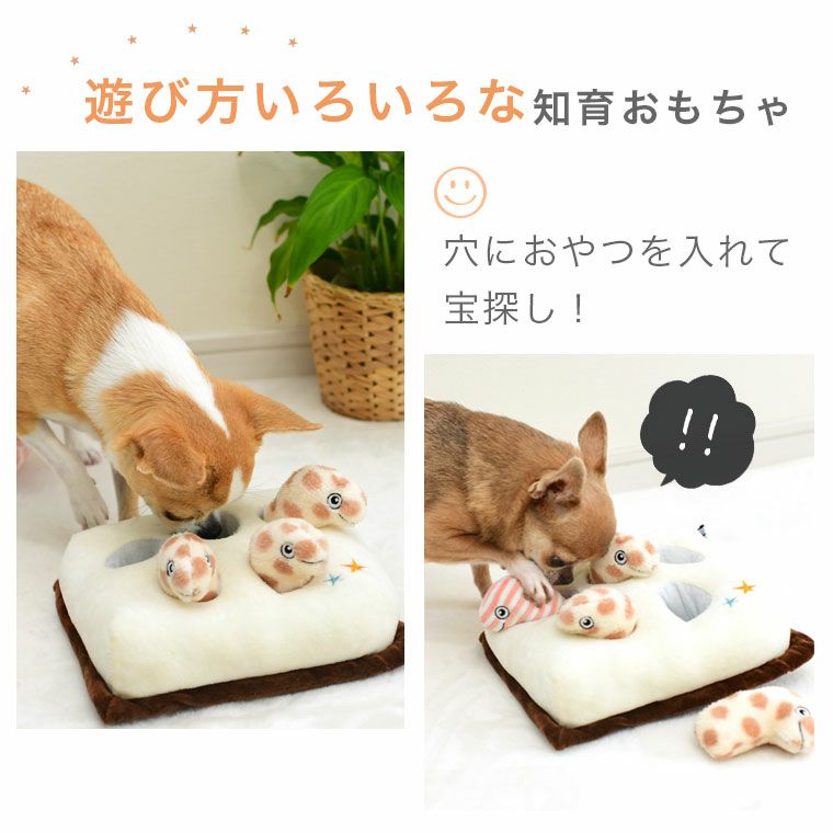 iDog 知育おもちゃ チンアナゴ -犬猫ペット用品通販 IDOG&ICAT