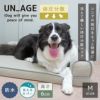 IDOG&ICATUNAGE低反発シニアベッドコーナーベッドMサイズ防水アイドッグ