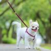 リードの絡まりを防いで快適にお出かけ