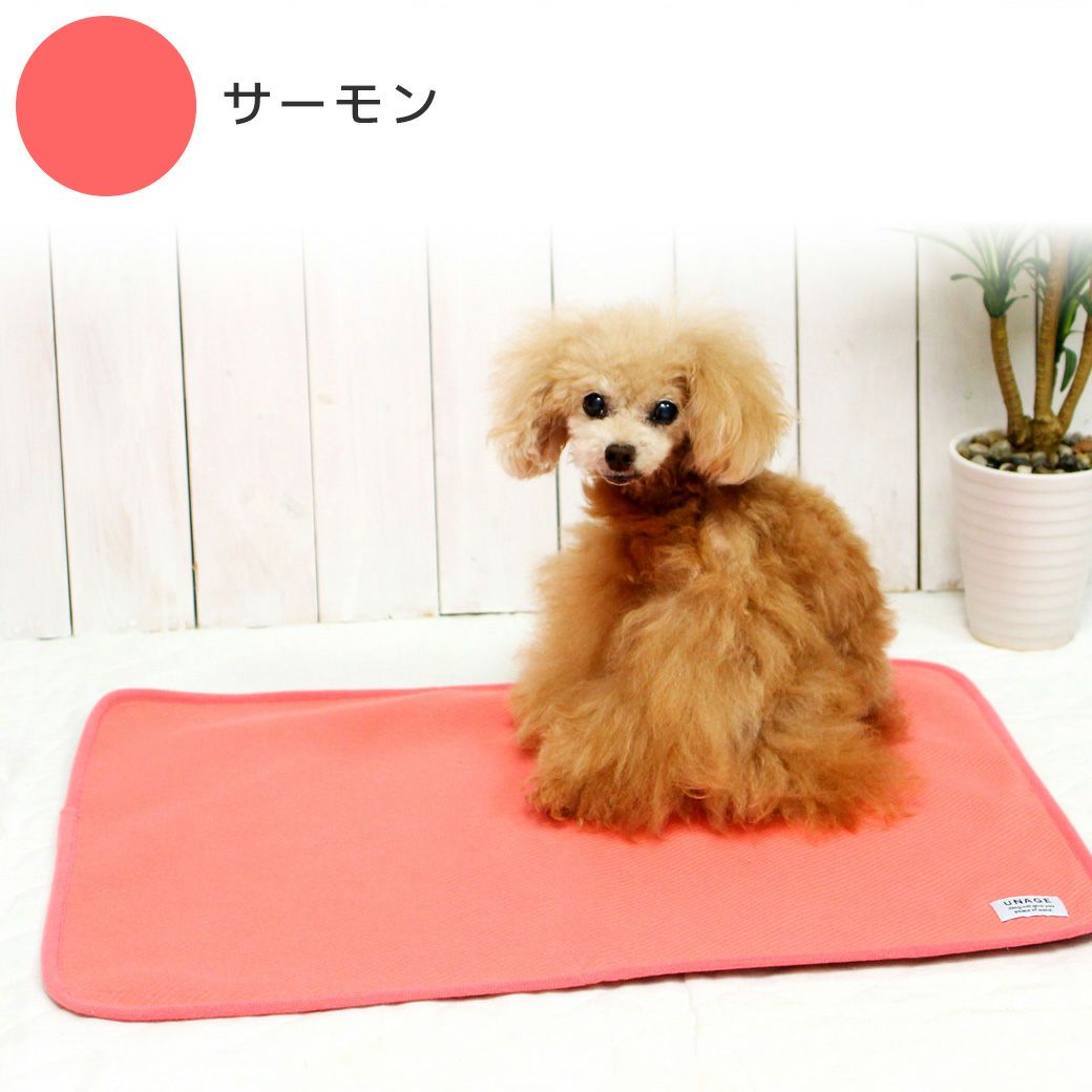 トイプー2.2kg(首18/胴31/丈23cm)のメロディちゃんはサーモンを使用