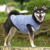 柴犬8.8kg(首34/胴50/丈38cm)の凪ちゃんはブルーのXXLを着用