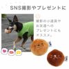 記念撮影やプレゼントに