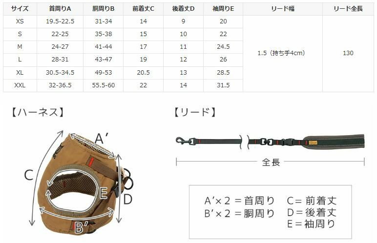 サイズ表