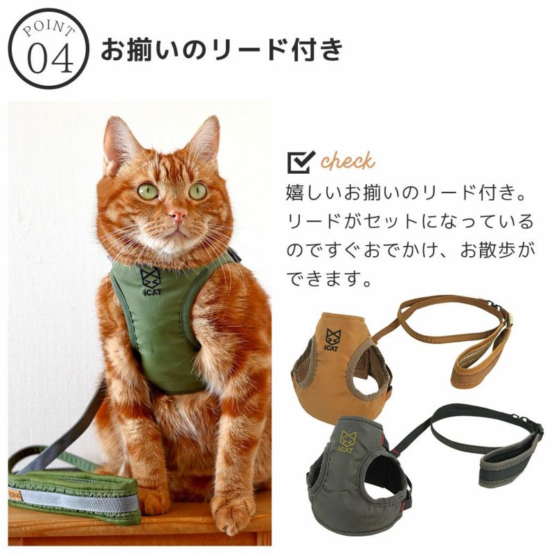 猫 リード コレクション 繋いでる