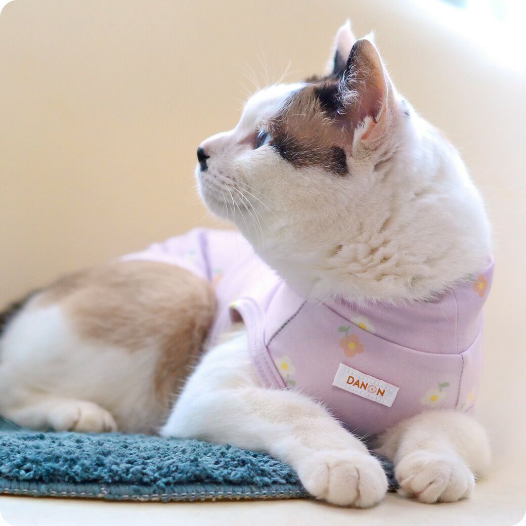 蓄熱・保温素材×ハイネックで首までぬくぬく