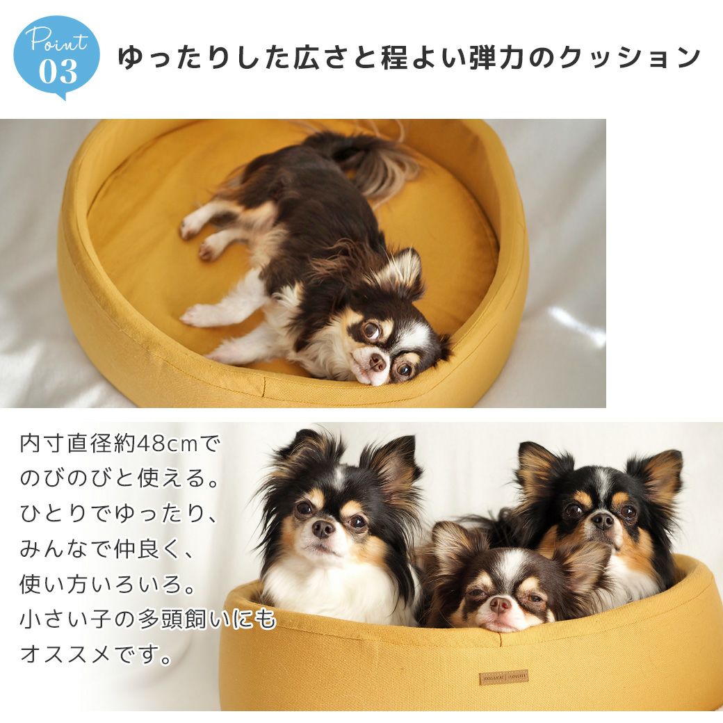 ゆったりした広さと程よい弾力のクッション