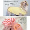iDogオリジナルパターンが身体にフィット