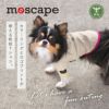 iDogMOSCAPEプリントTシャツ防蚊
