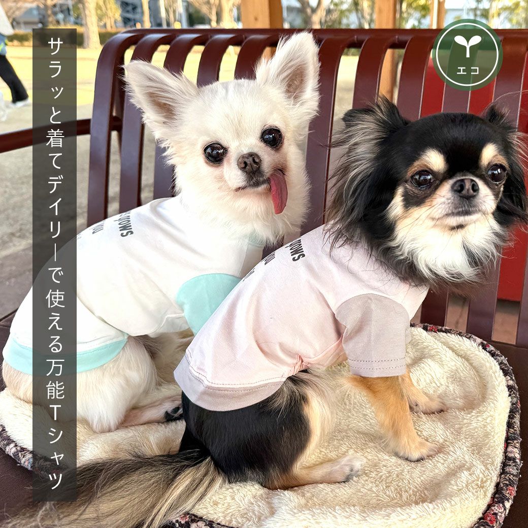 春色のバイカラーがおしゃれでかわいい犬Tシャツ