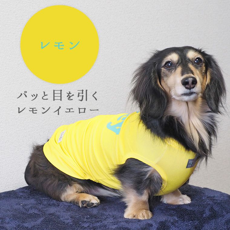 iDog COOL Chill ジューシータンク 接触冷感-犬猫ペット用品通販