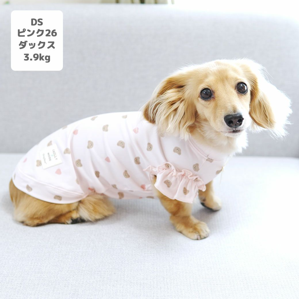 ミニチュアダックス3.9kg(首25/胴37/丈31cm)のクムちゃんはピンク26のDSを着用