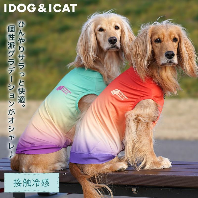 大型犬服タンクトップ（冷感クール）ＸＬ 犬服ハンドメイド