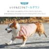 暑い日もたくさん遊びたいアクティブなワンコにピッタリ