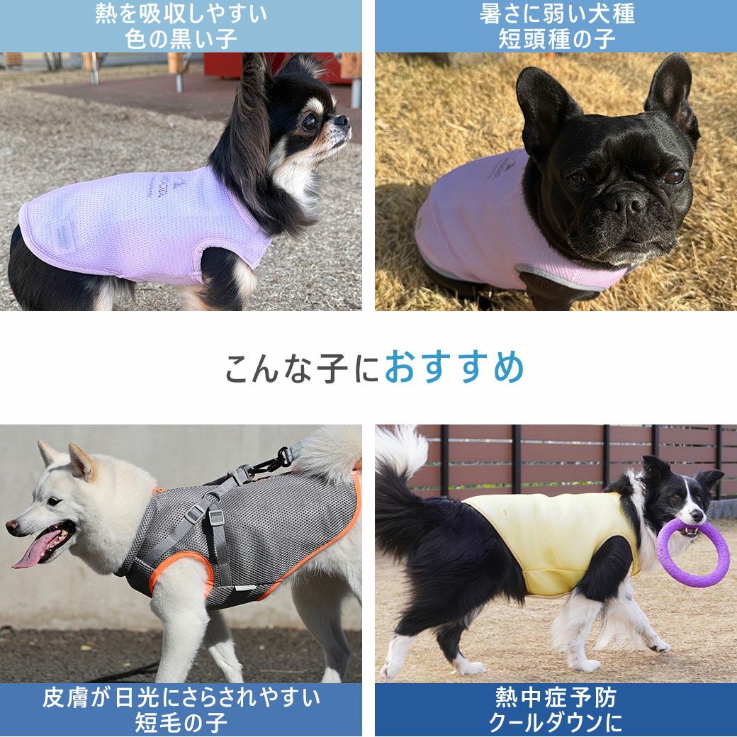 こんな子におすすめ