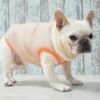 フレブル10.3kg(首38/胴56/丈34cm)のブランくんはベージュのFを着用