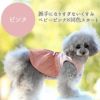 トイプー2.3kg(首18/胴31/丈24cm)のメルシーちゃんはピンクのSを着用