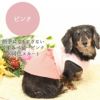 カニヘンダックス5.0kg(首28/胴40/丈37cm)のらんかちゃんはピンクのDSを着用