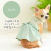 チワワ2.8kg(首23/胴35/丈25cm)のもなかちゃんはミントのSを着用