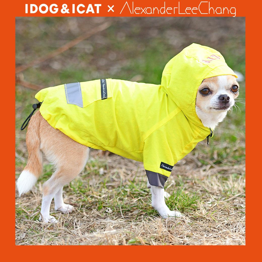 IDOG×AlexanderLeeChang