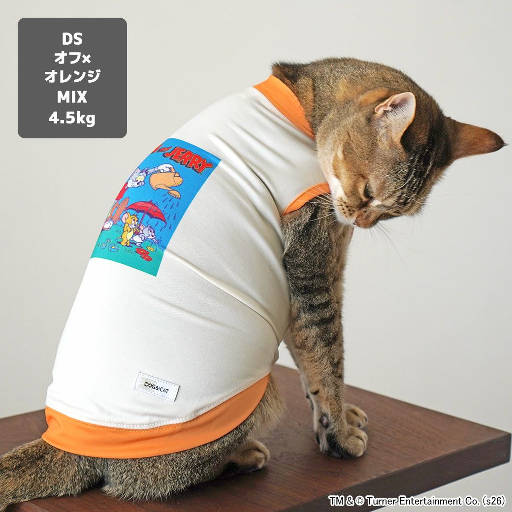 MIX4.5kg(首21/胴36/丈34cm)のニコちゃんはオフ×オレンジのDSを着用
