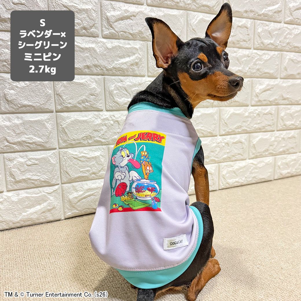 ミニピン2.7kg(首20/胴36/丈23.5cm)のルナちゃんはラベンダー×シーグリーンのSを着用