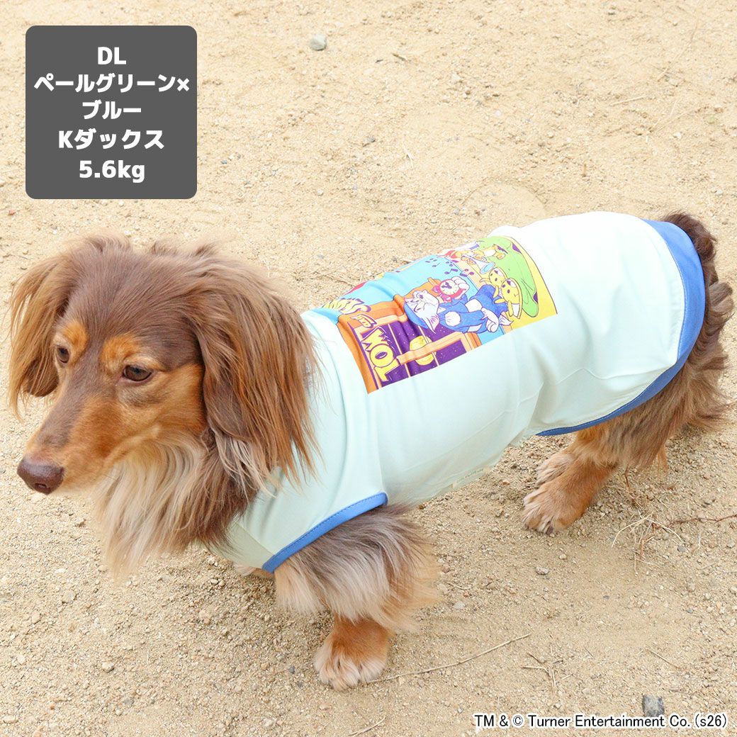 カニヘンダックス5.6kg(首35/胴43/丈37cm)のハクくんはペールグリーン×ブルーのDLを着用