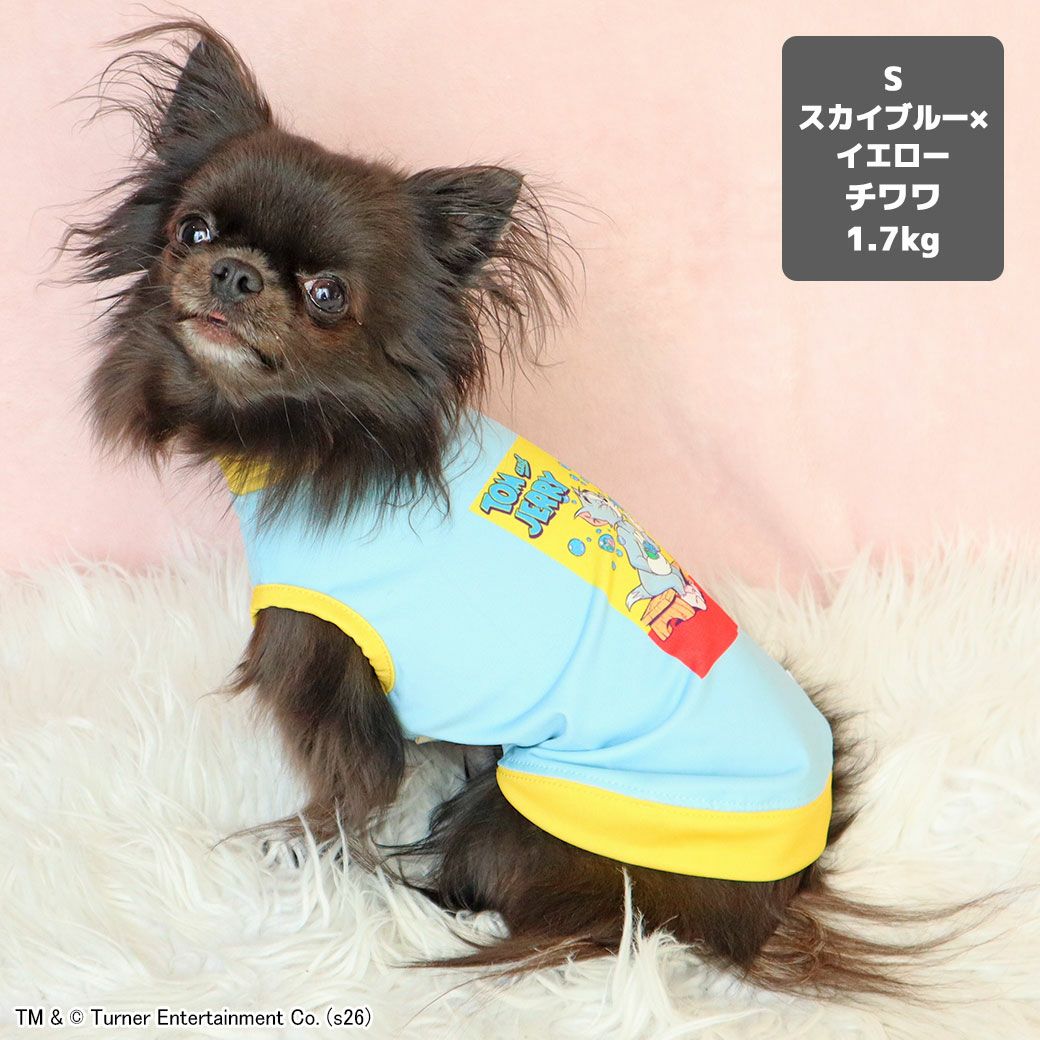 チワワ1.7kg(首19/胴28.5/丈21cm)の小桃ちゃんはスカイブルー×イエローのSを着用