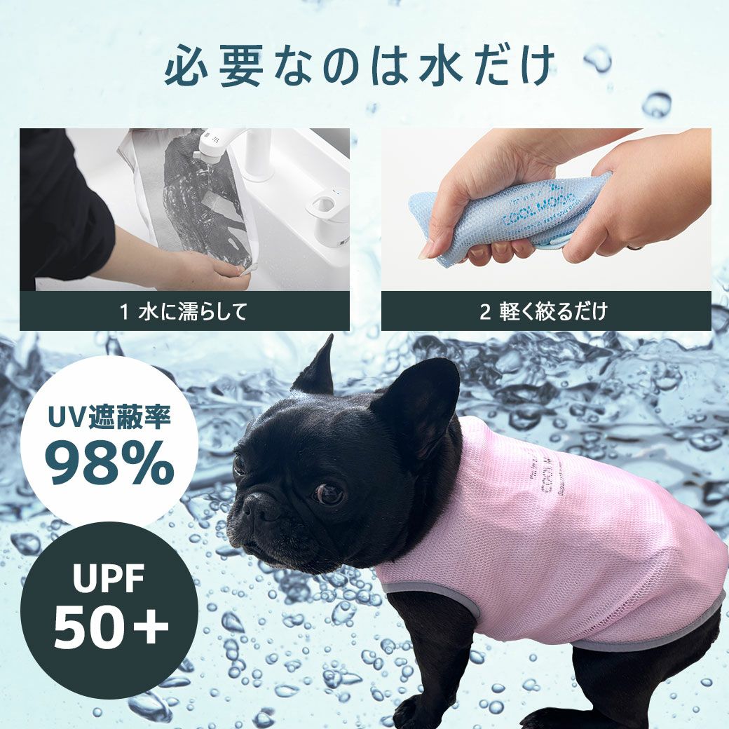 必要なのは水だけ！