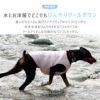 暑い日もたくさん遊びたいワンコにピッタリ
