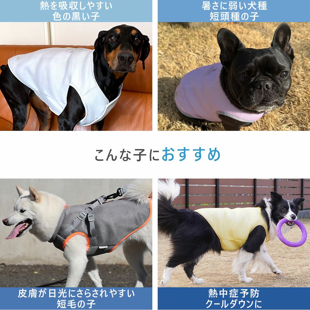 夏の暑さに困っている子にピッタリの冷却タンク
