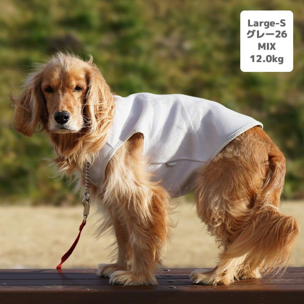 MIX12.0kg(首37/胴53/丈48cm)のはちみつちゃんはグレー26のLarge-Sを着用