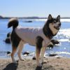 柴犬10.9kg(首42/胴58/丈43cm)のかんたくんはグレーのLarge-Sを着用