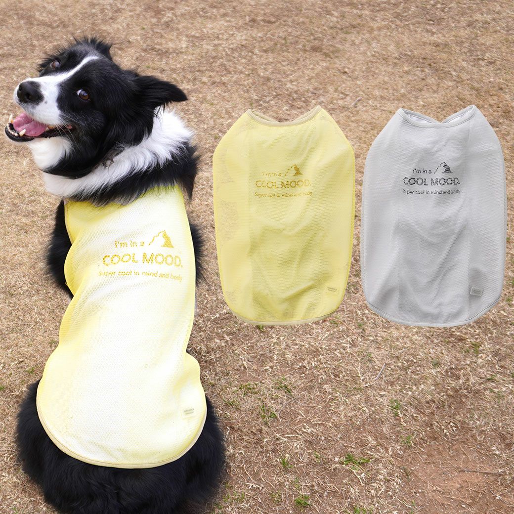 iDogAQUAHOLD中大型犬用ひんやり空冷&保水Wクールタンクアイドッグ