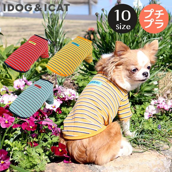 iDog マルチボーダーTシャツ アイドッグ-犬猫ペット用品通販 IDOG&ICAT