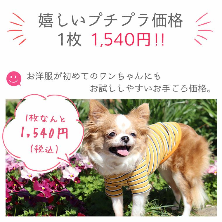 iDog マルチボーダーTシャツ アイドッグ-犬猫ペット用品通販 IDOG&ICAT