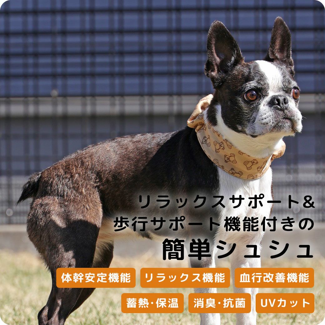 UNAGEウェルネスシュシュ