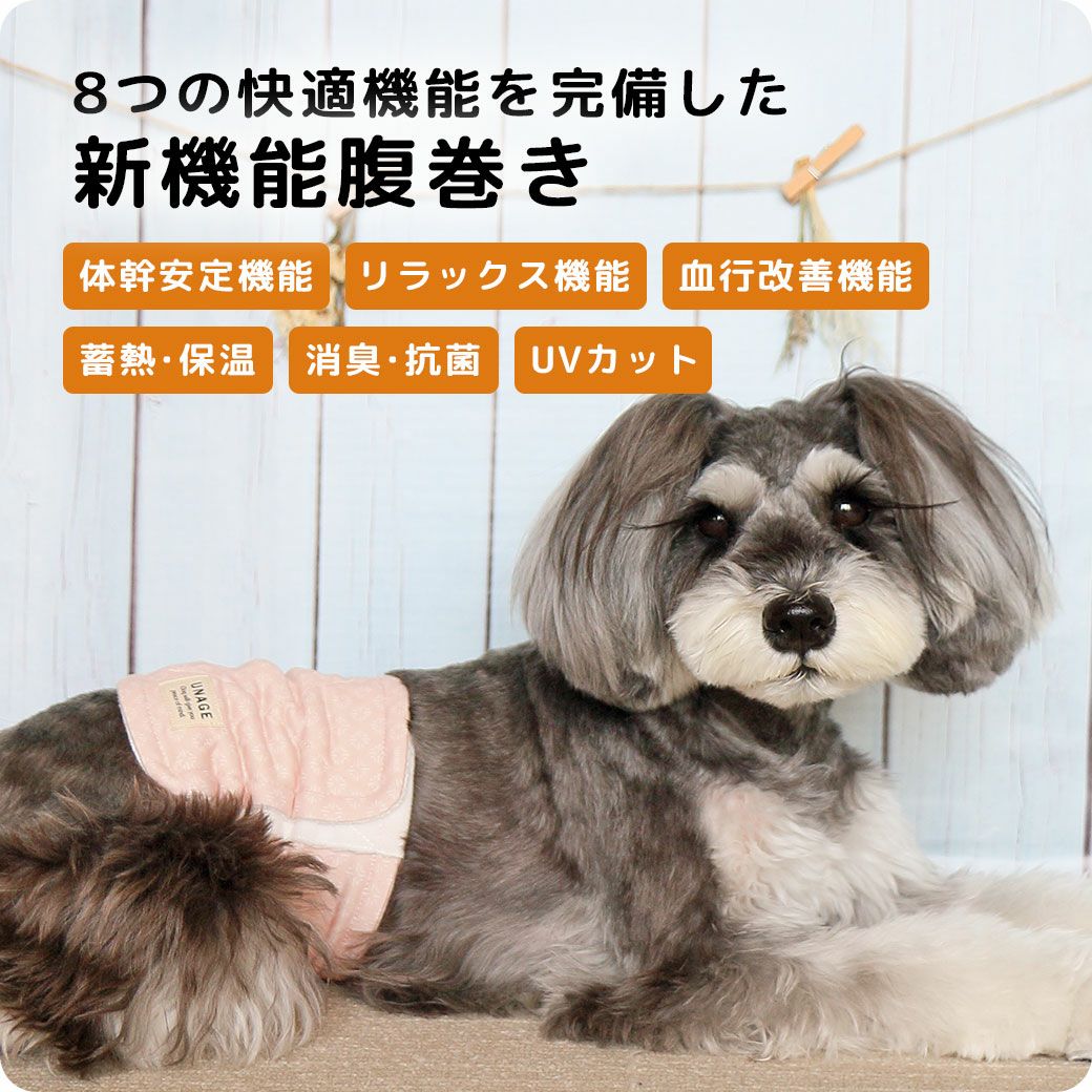 生き生きとした生活をサポートします