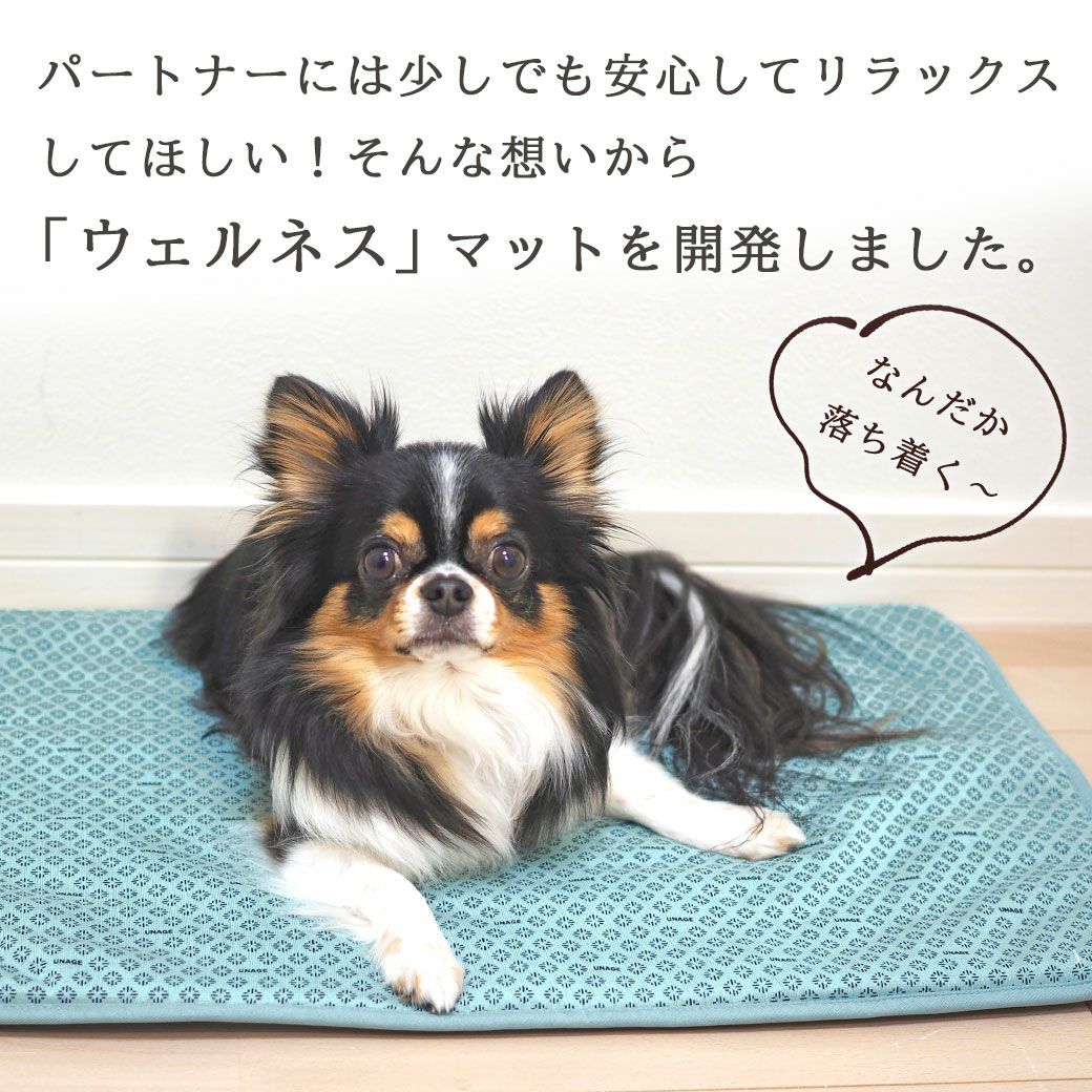 リラックスをサポートします