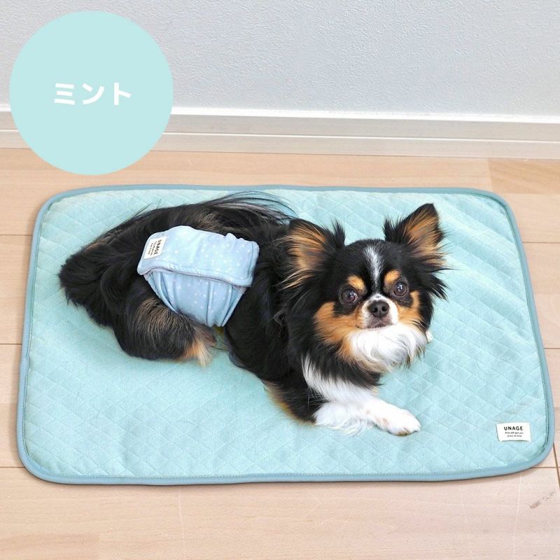 IDOG&ICAT UNAGE ウェルネスキルトマット アイドッグ-犬猫ペット